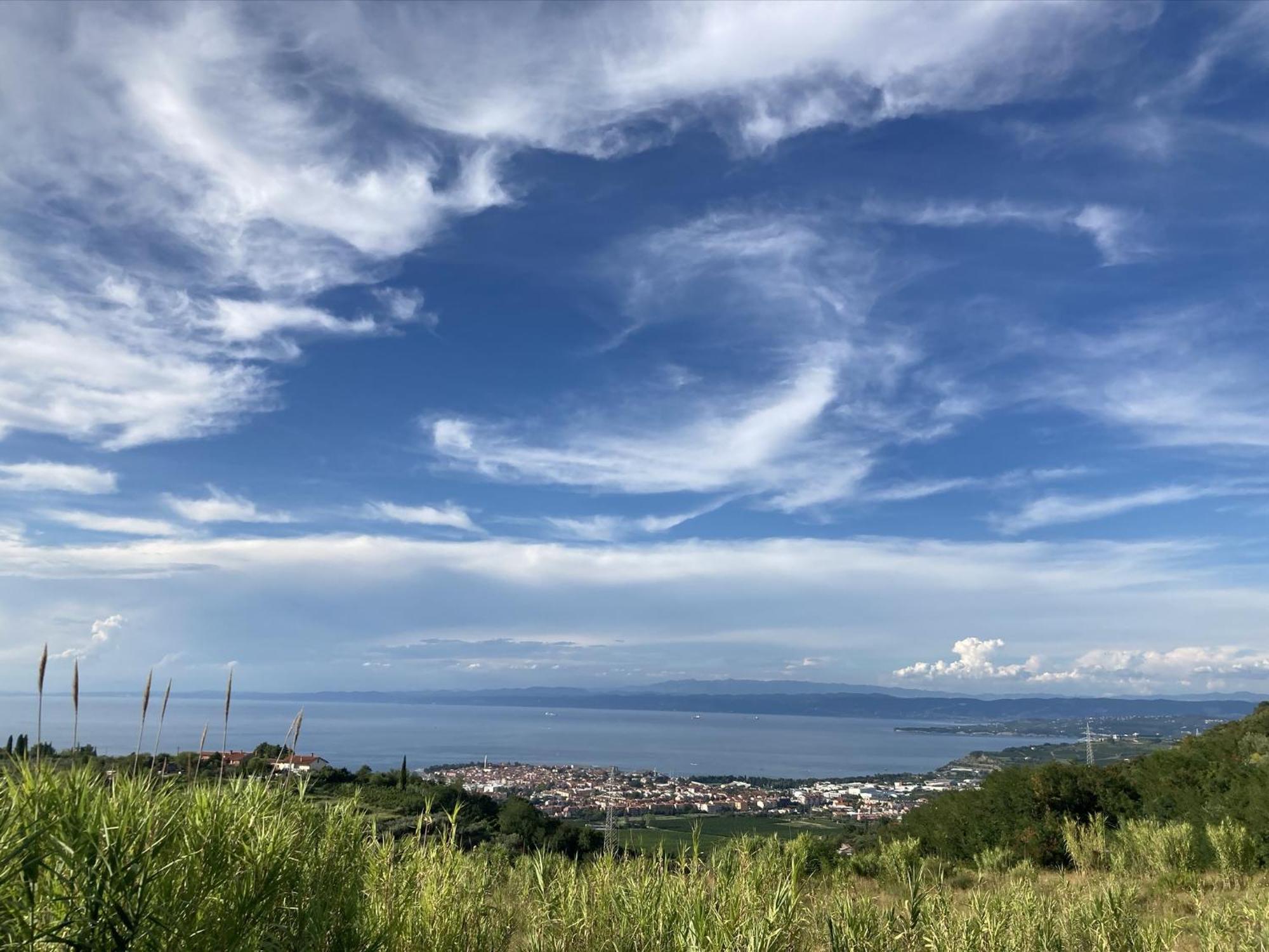 Apartments Colors Of Koper Where The Sea Is Near By Oda fotoğraf